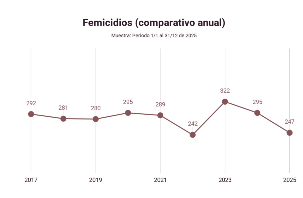 El Observatorio de Femicidios de la Defensoría del Pueblo de la Nación registró 247 víctimas de femicidio durante 2025