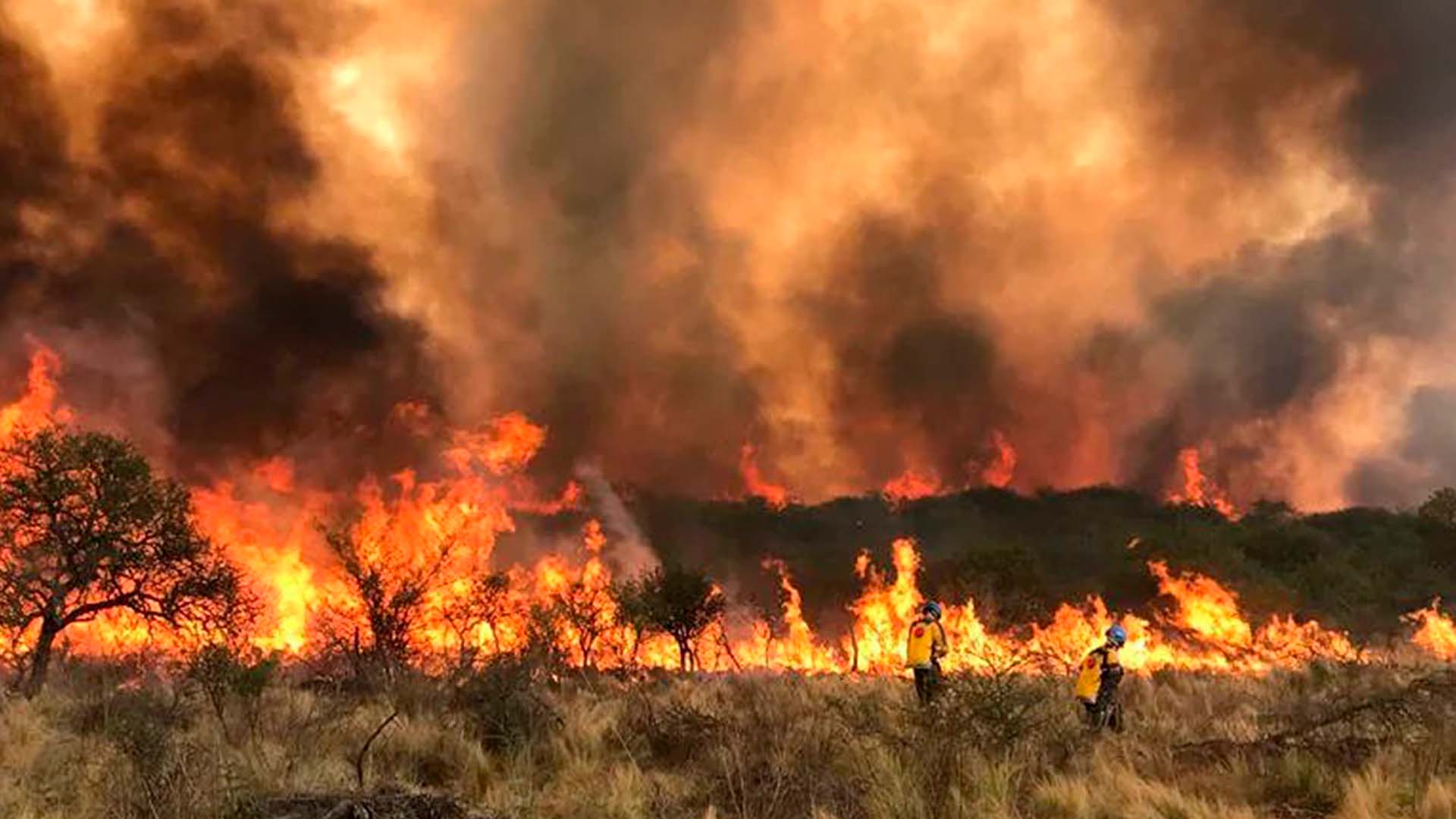 La Defensoría del Pueblo de la Nación analiza el estado de situación ante la grave crisis ambiental y social que representan los incendios forestales en Córdoba